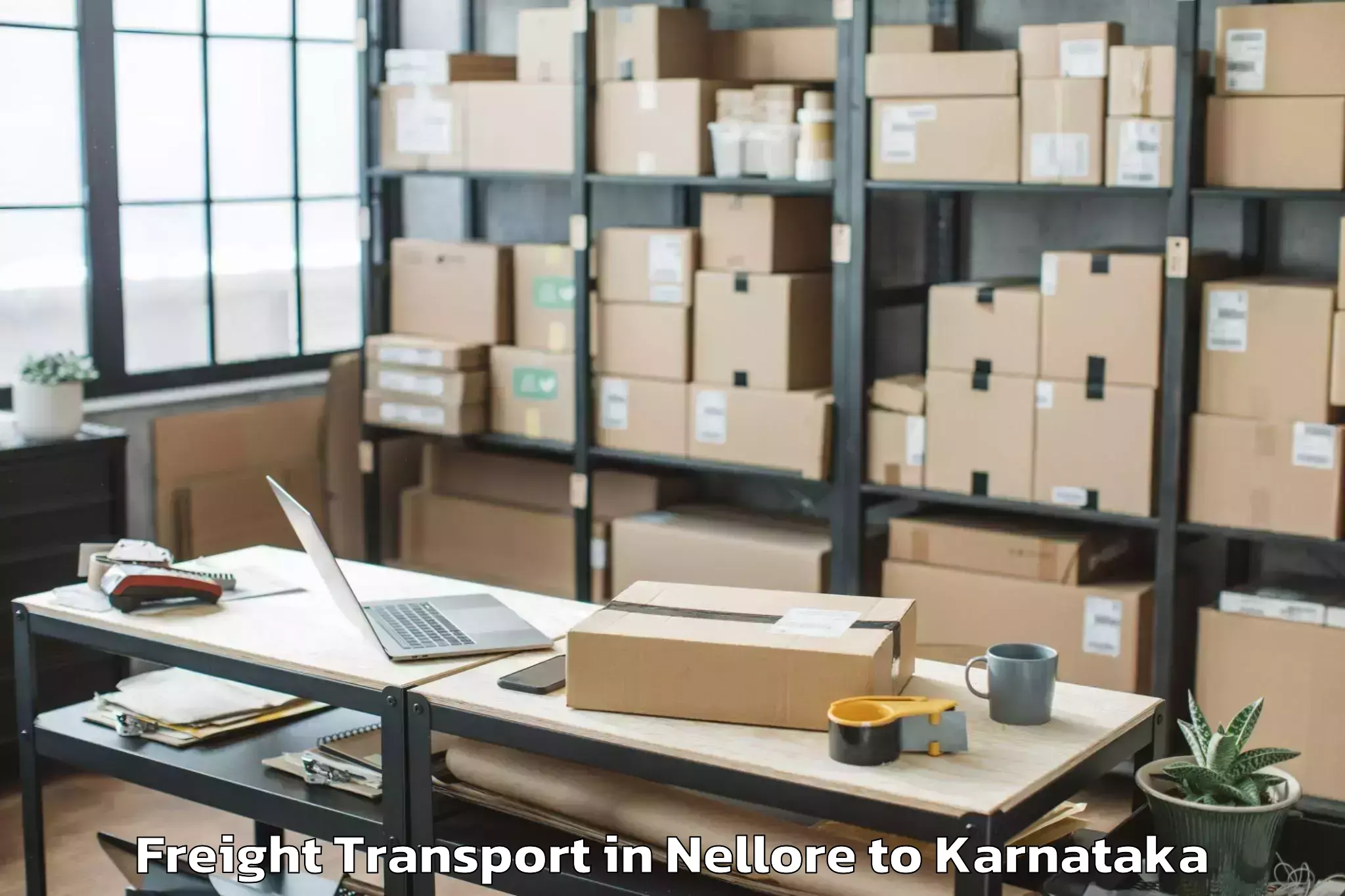 Professional Nellore to Davangere University Davangere Freight Transport